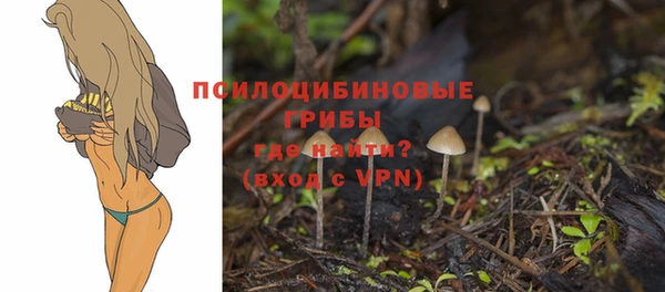 mdpv Алзамай