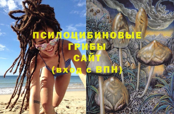 mdpv Алзамай