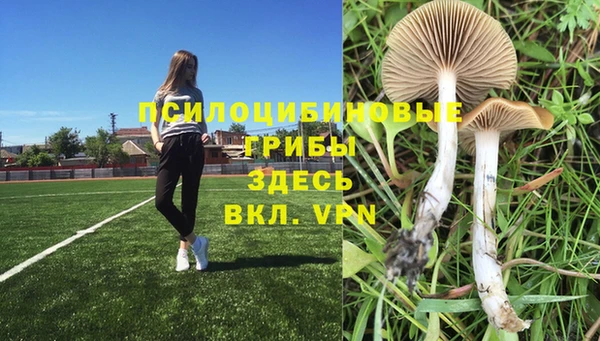 гашиш Алексеевка